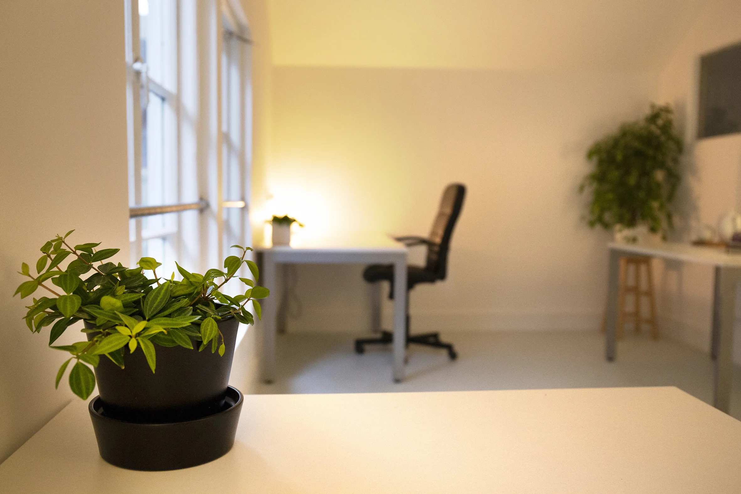 D_Light_2E5A7142-small.jpg