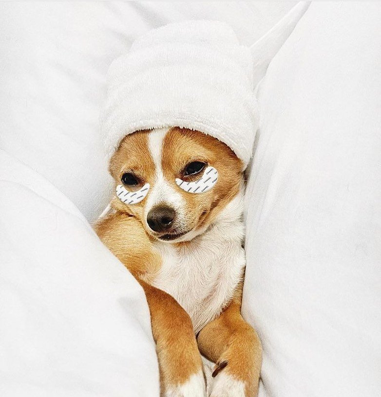 Tuesday vibes at Apotheca HQ 🧖🏾&zwj;♀️🧖🏽&zwj;♀️🧖🏻&zwj;♀️