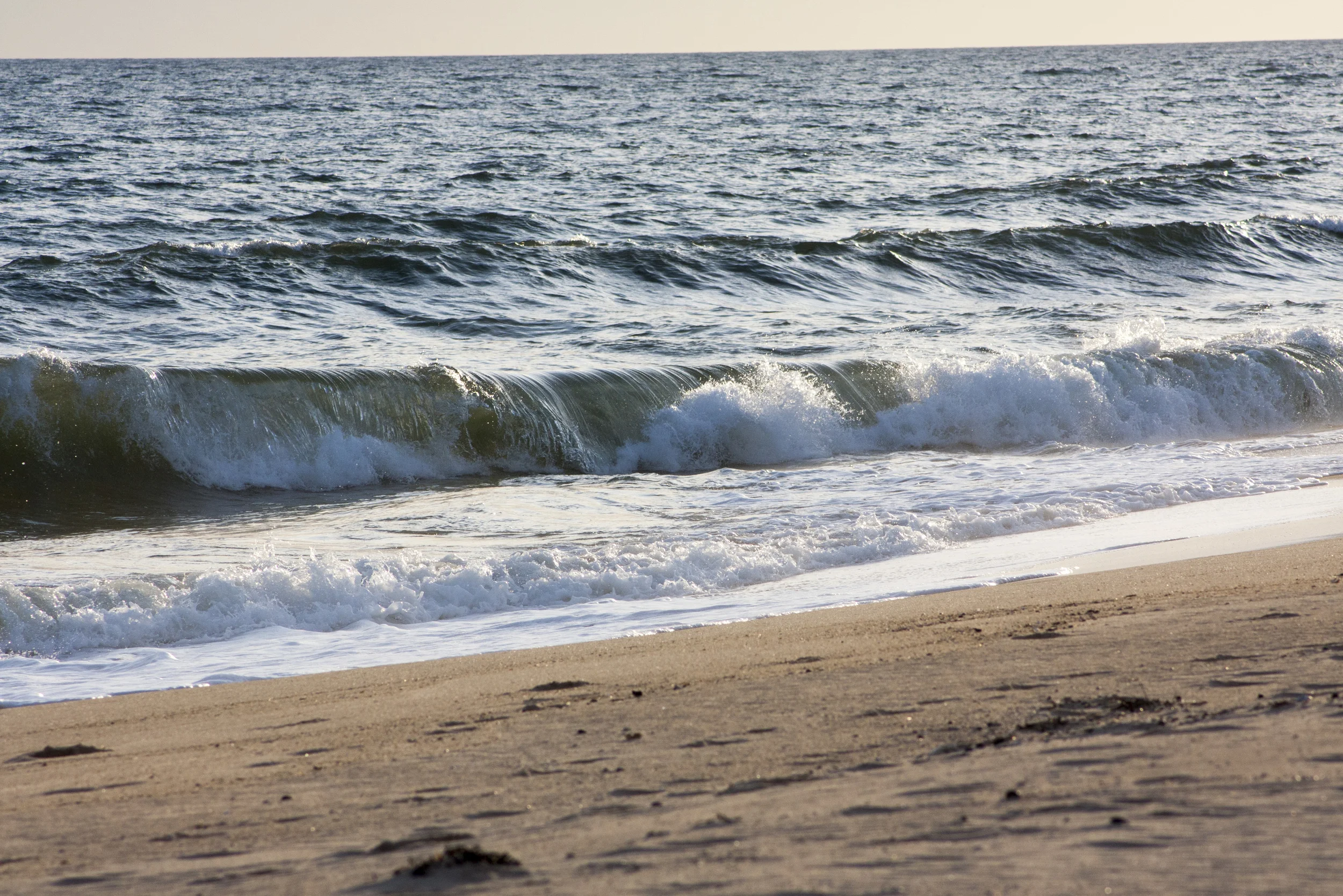 2014-11-04 23.06.19.jpg