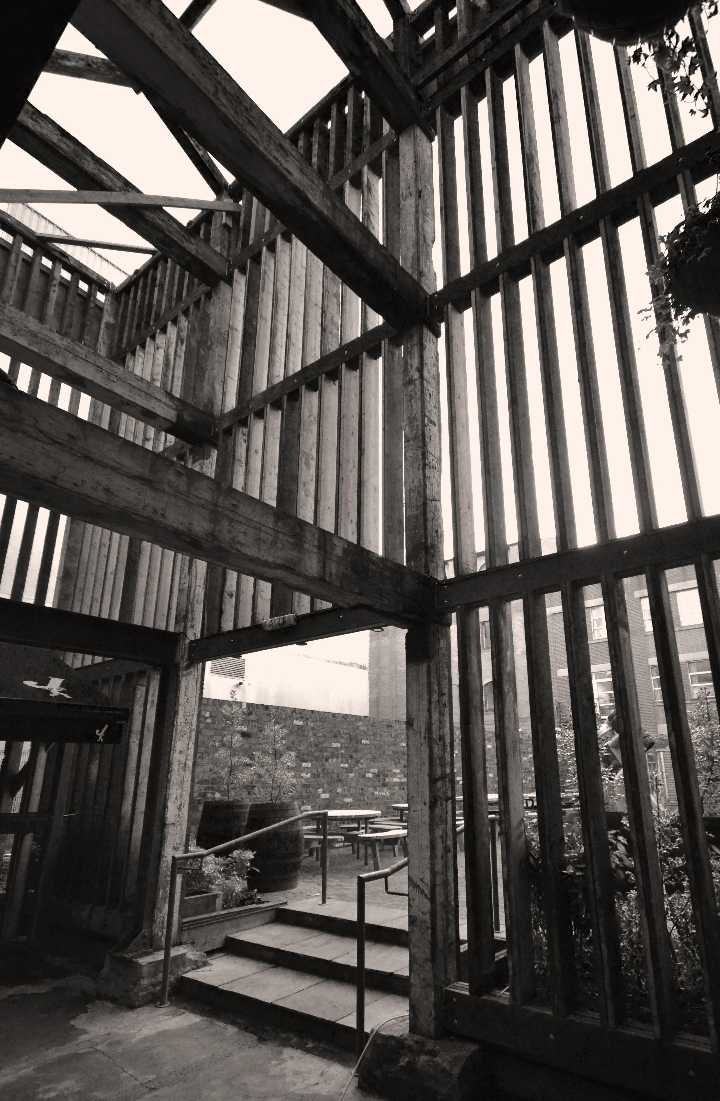 aDSC_0034.jpg
