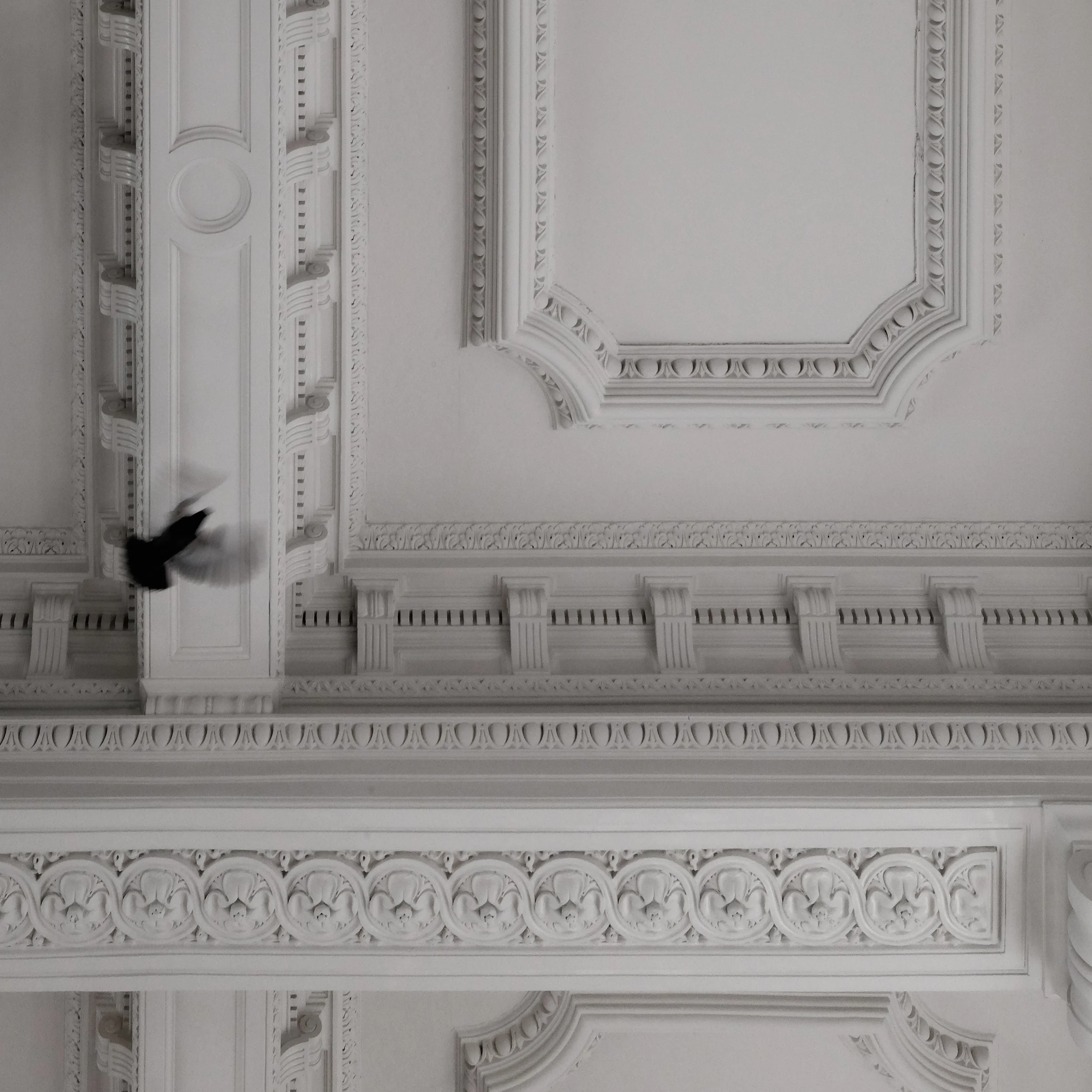 Ceilings in the Assembly Hall repaired, painted and looking stunning - not sure who the intruder is...