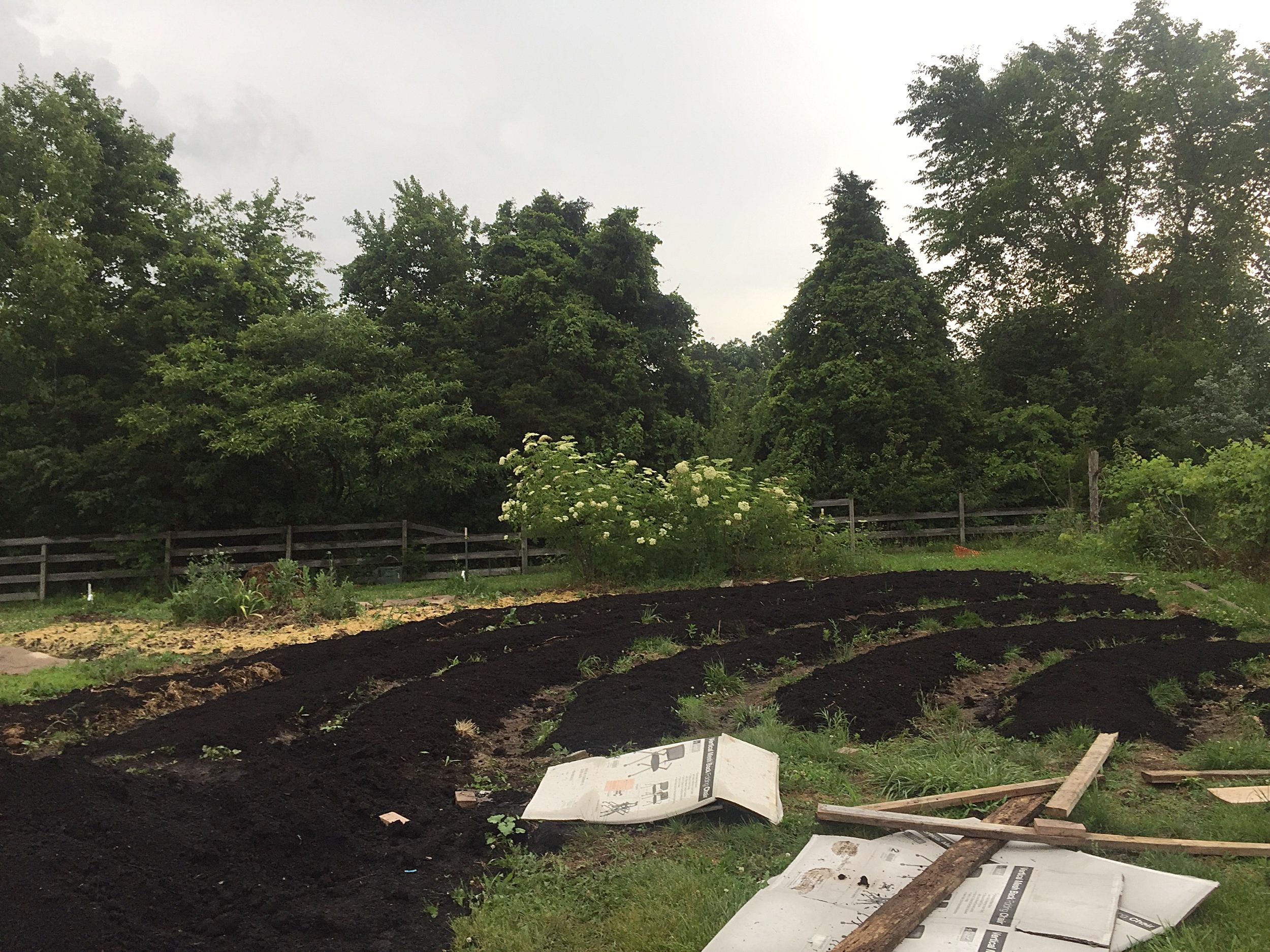 Applying the compost after the cardboard.