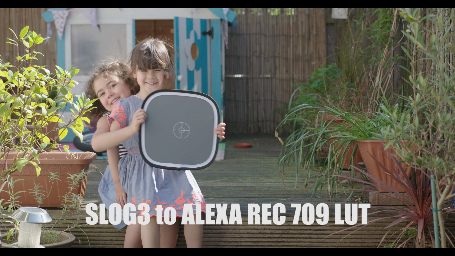 Slog3 to Alexa 709.jpg