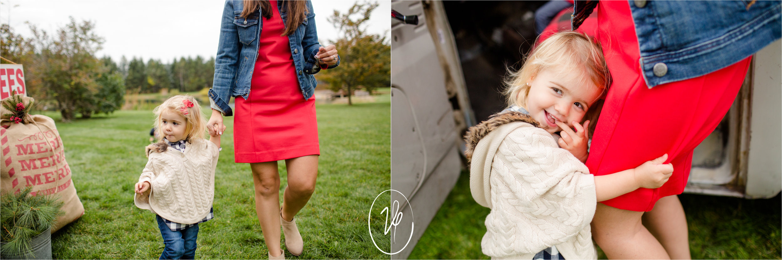 Christmas Mini | Sylvania Family Photographer | Sylvania, OH