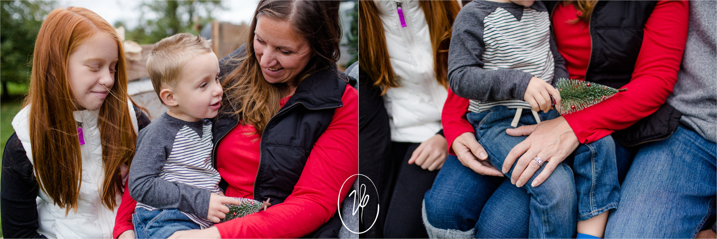 Viridian Ivy Images | Christmas Minis | Sylvania Family Photographer