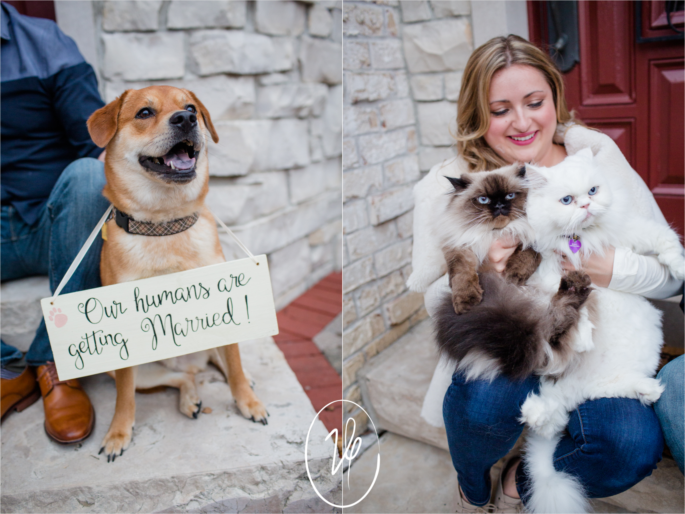 Viridian Ivy Images | Sylvania OH Engagement Photographer