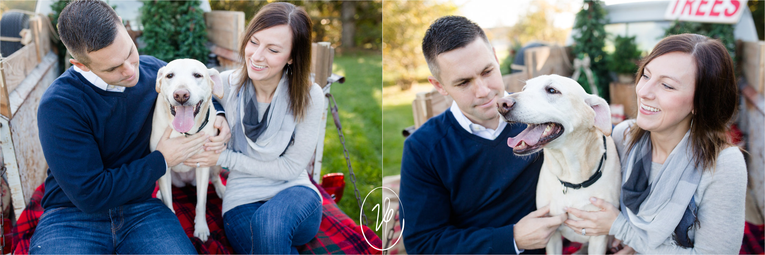 Viridian Ivy Images | Christmas Minis | Sylvania Family Photographer