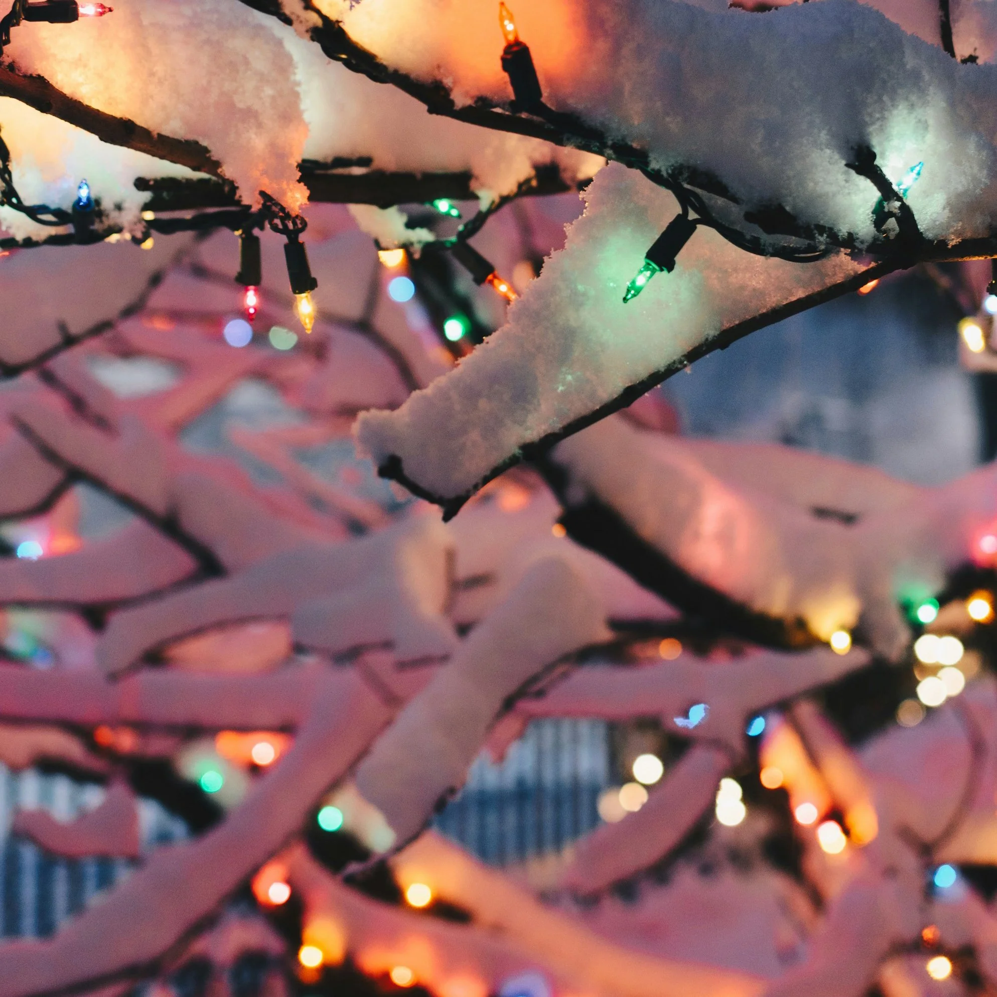 1520 x FCSI: On Christmas In Hospitality