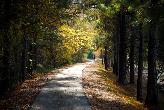 path.jpg