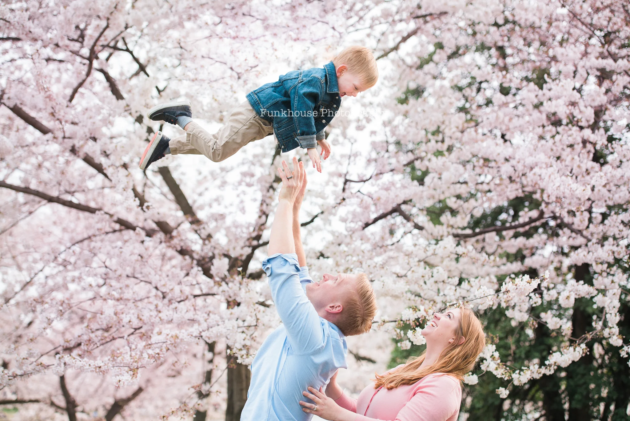 Cherry Blossom sessions at the Tidal Basin in Washington, D.C.