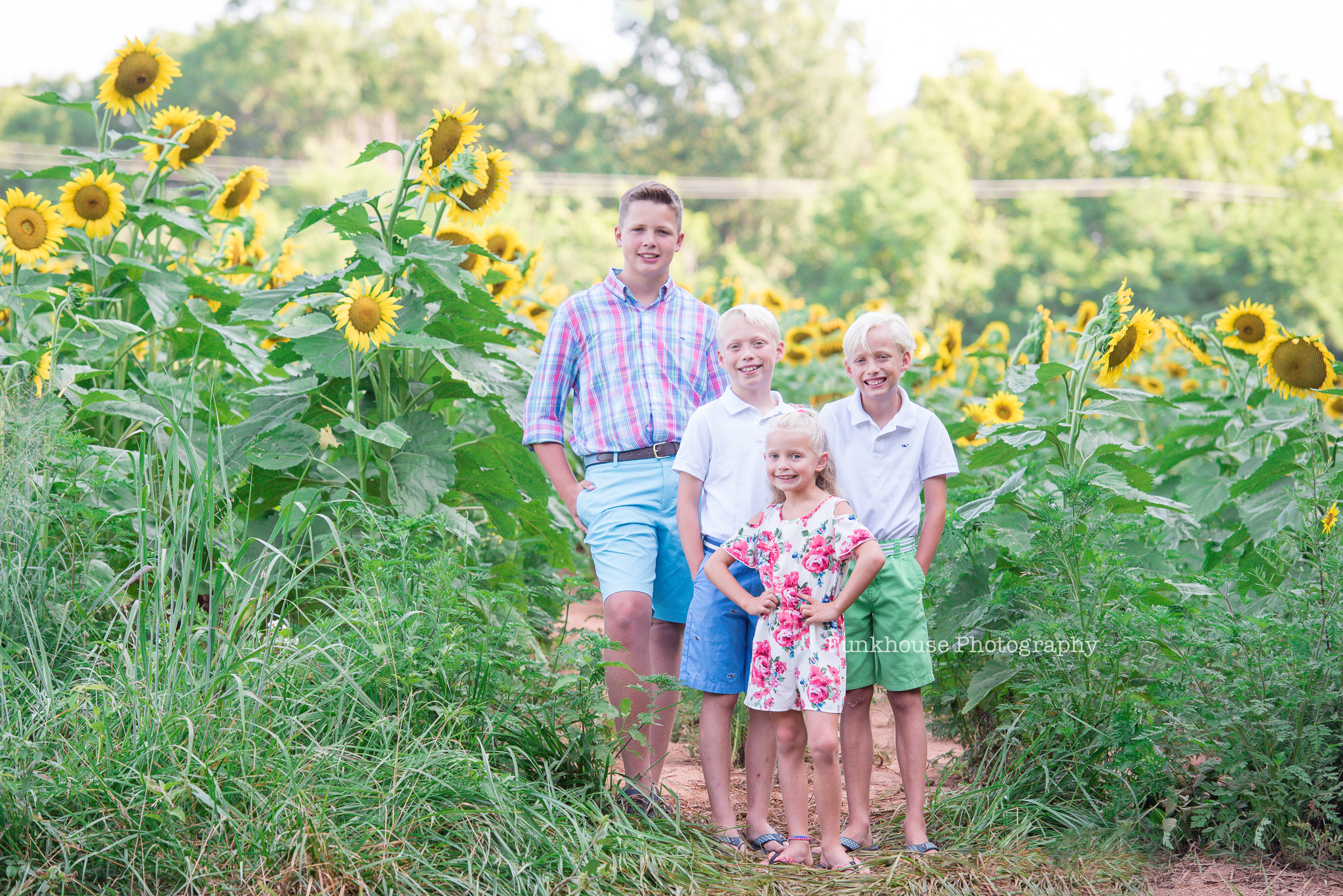 Siblings photography session at the sunflower fields