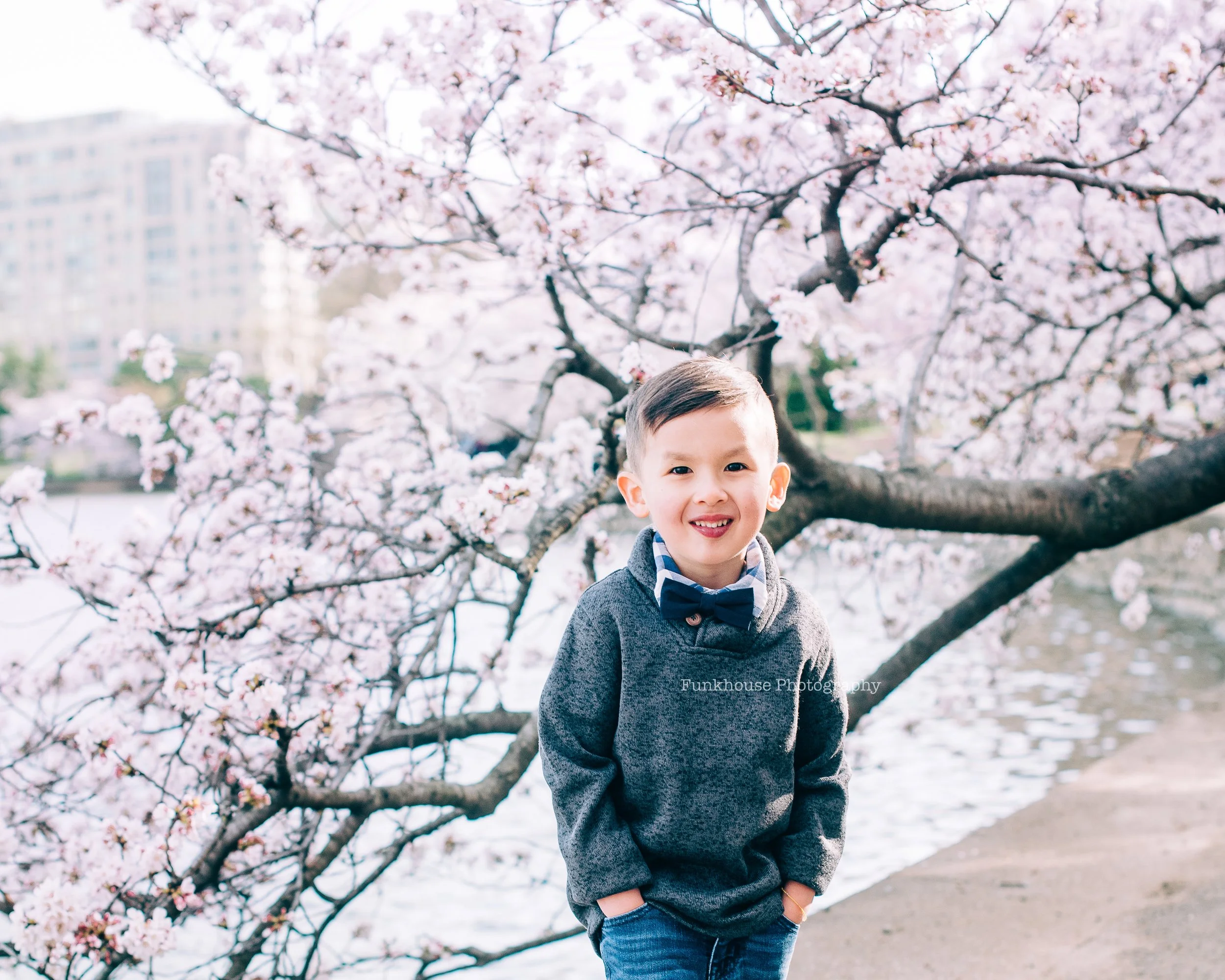 2023 WASHINGTON D.C. TIDAL BASIN CHERRY BLOSSOM PHOTOGRAPHY SESSIONS