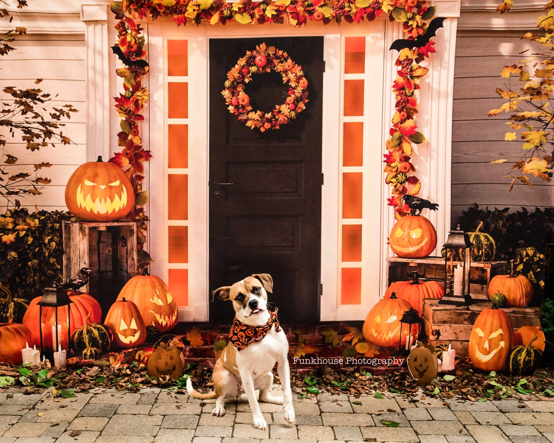Halloween themed mini photography sessions, Kentlands Gaithersburg, Maryland