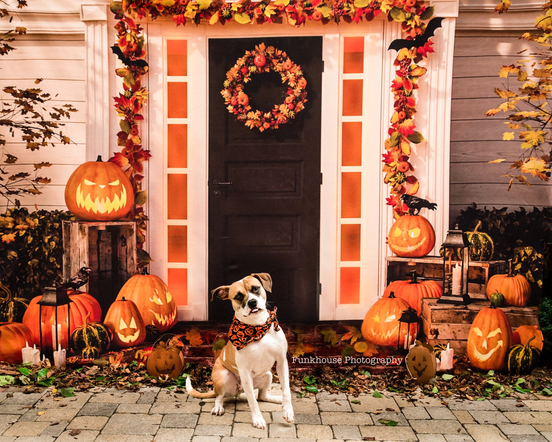 HALLOWEEN COSTUME MINI STUDIO PHOTOGRAPHY SESSIONS IN GAITHERSBURG, MARYLAND