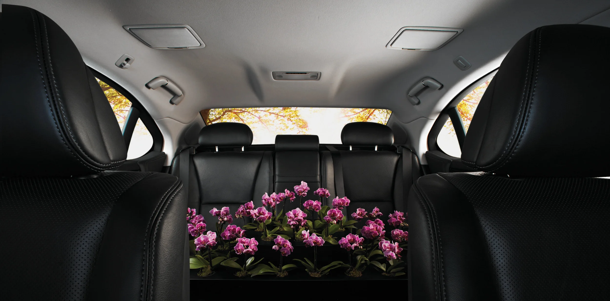 Lexus_14_12_12 0737_V3_new crop.jpg