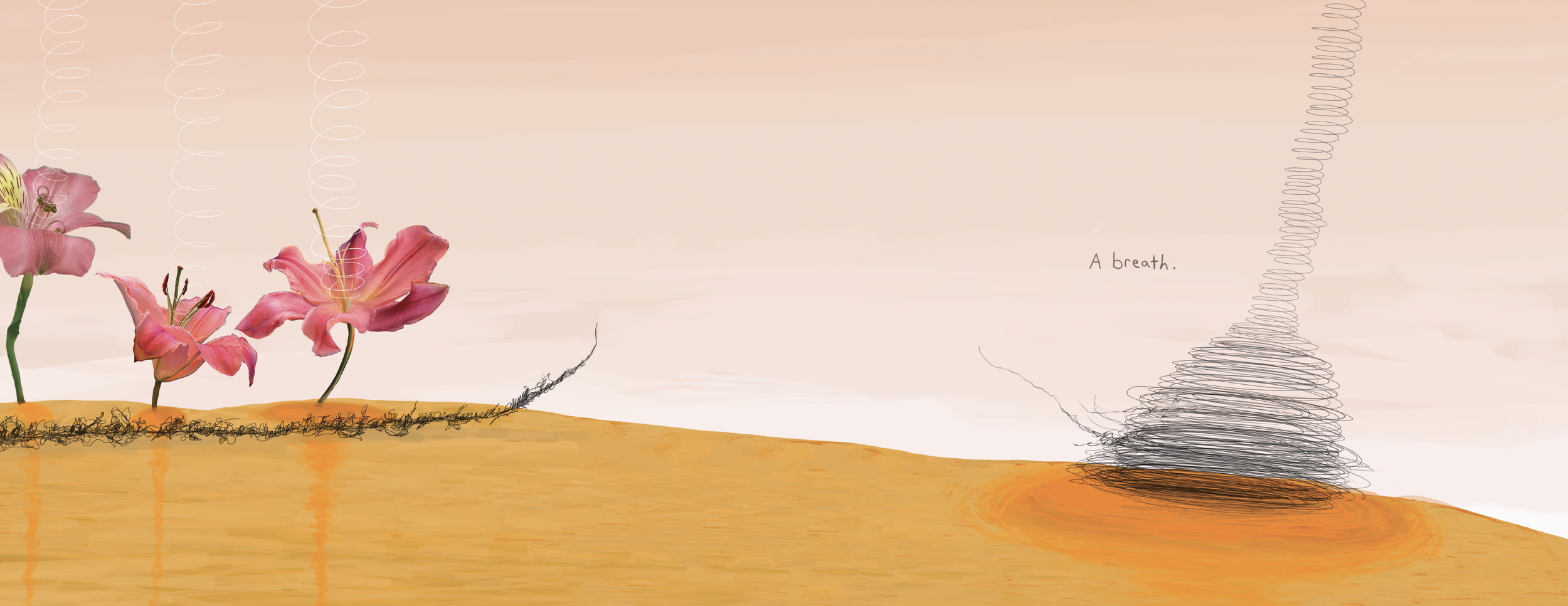 Screenshot 2026-05-14 at 8.10.16 AM.png