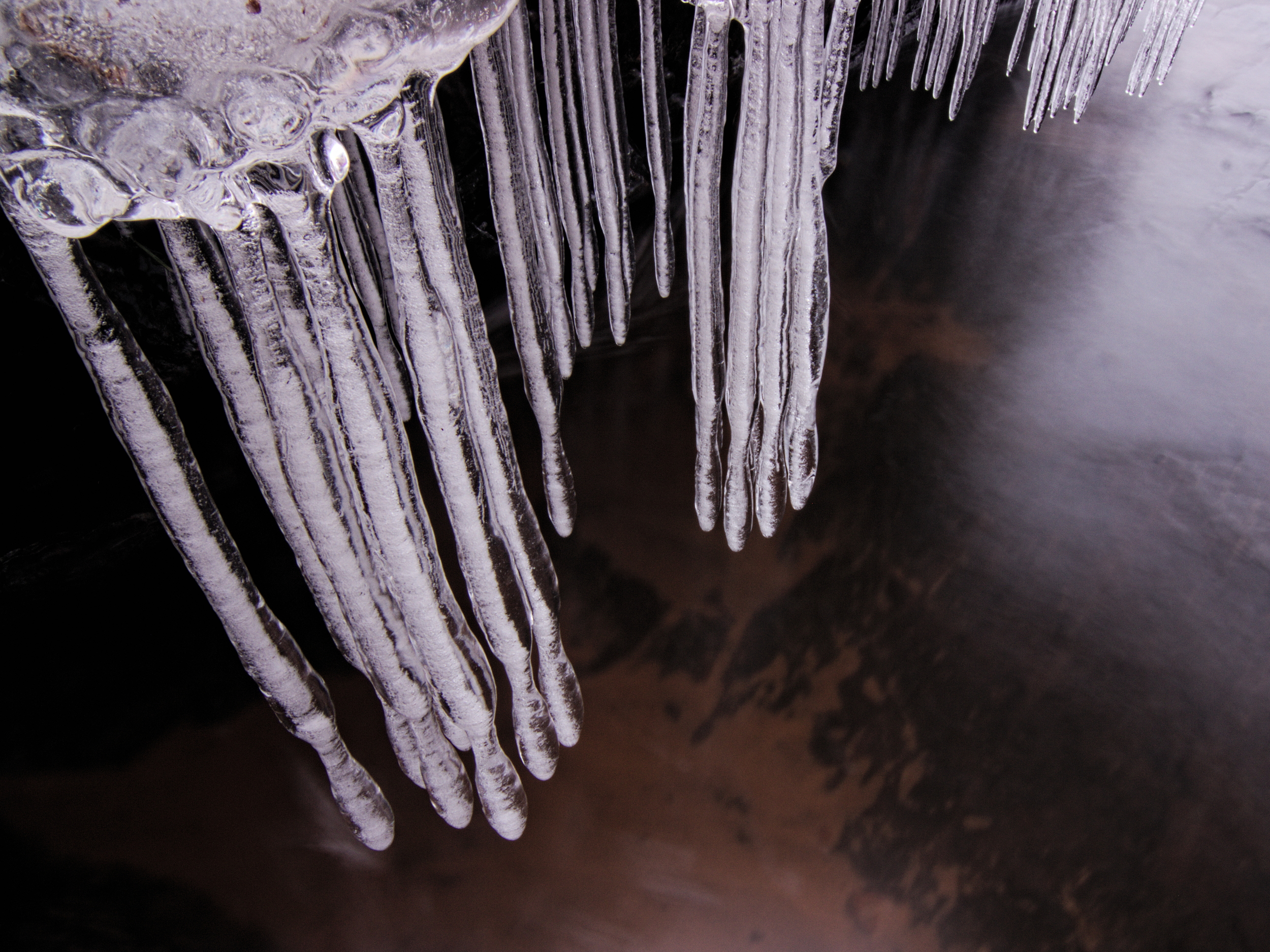 Winter Exploration on the Eau Claire River