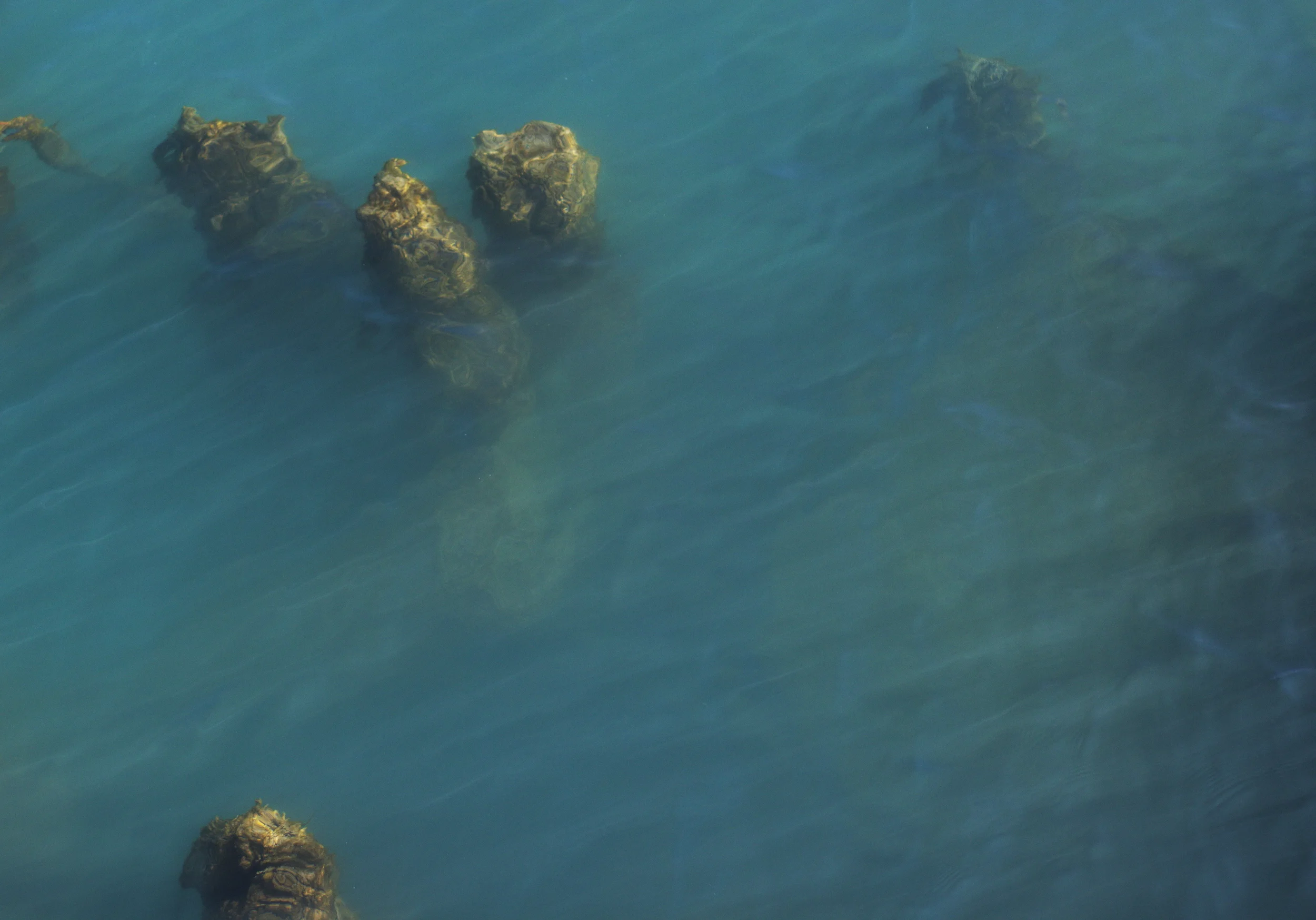 Lake Michigan Dreams