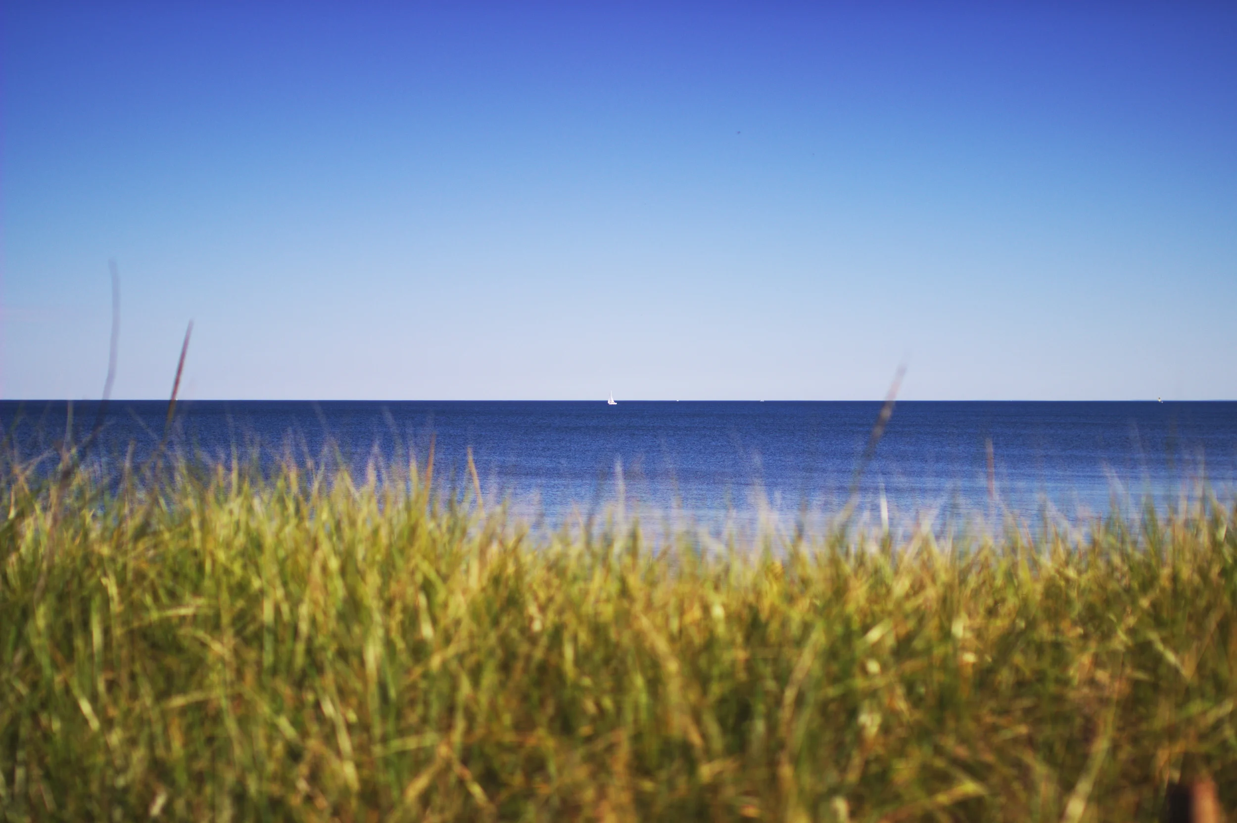 Great Lake Life