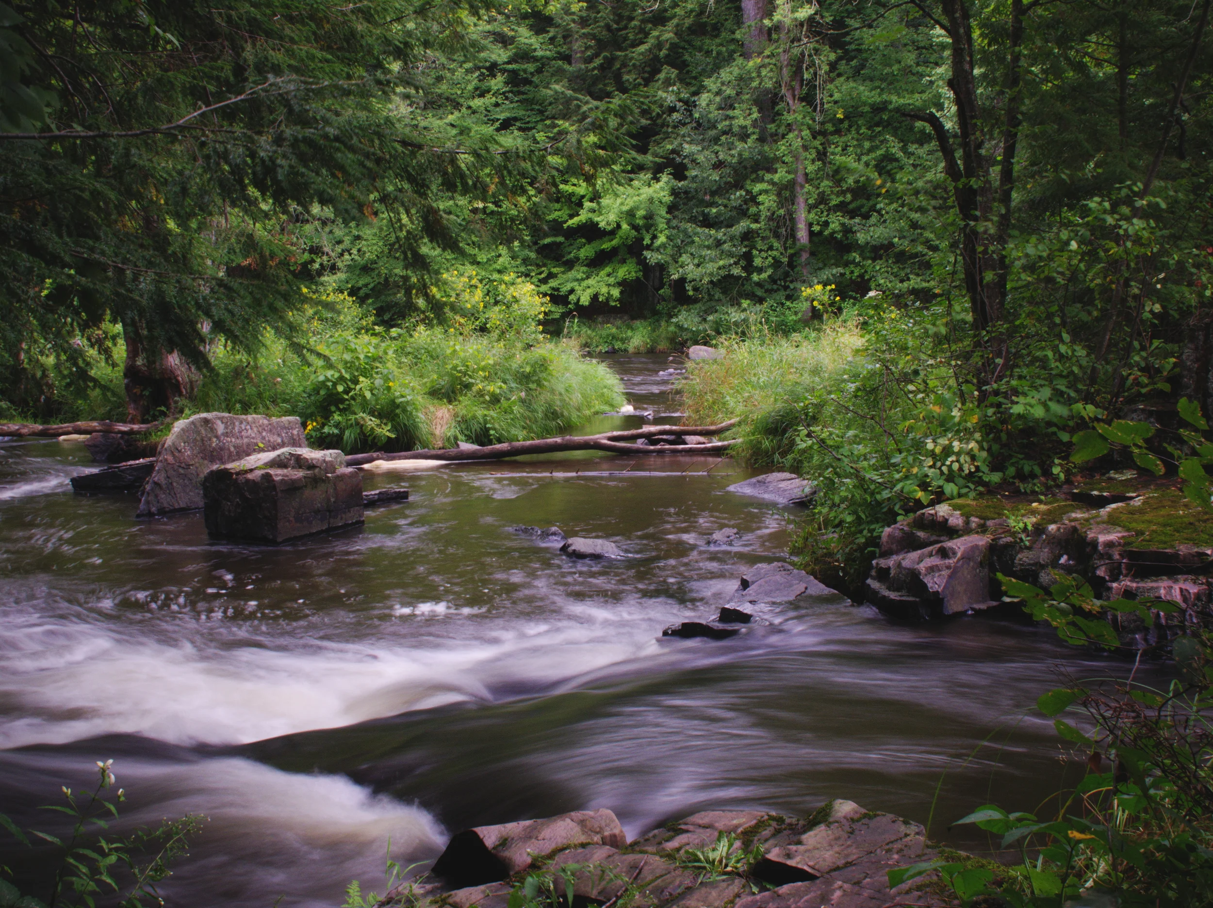 Dells of the Eau Claire