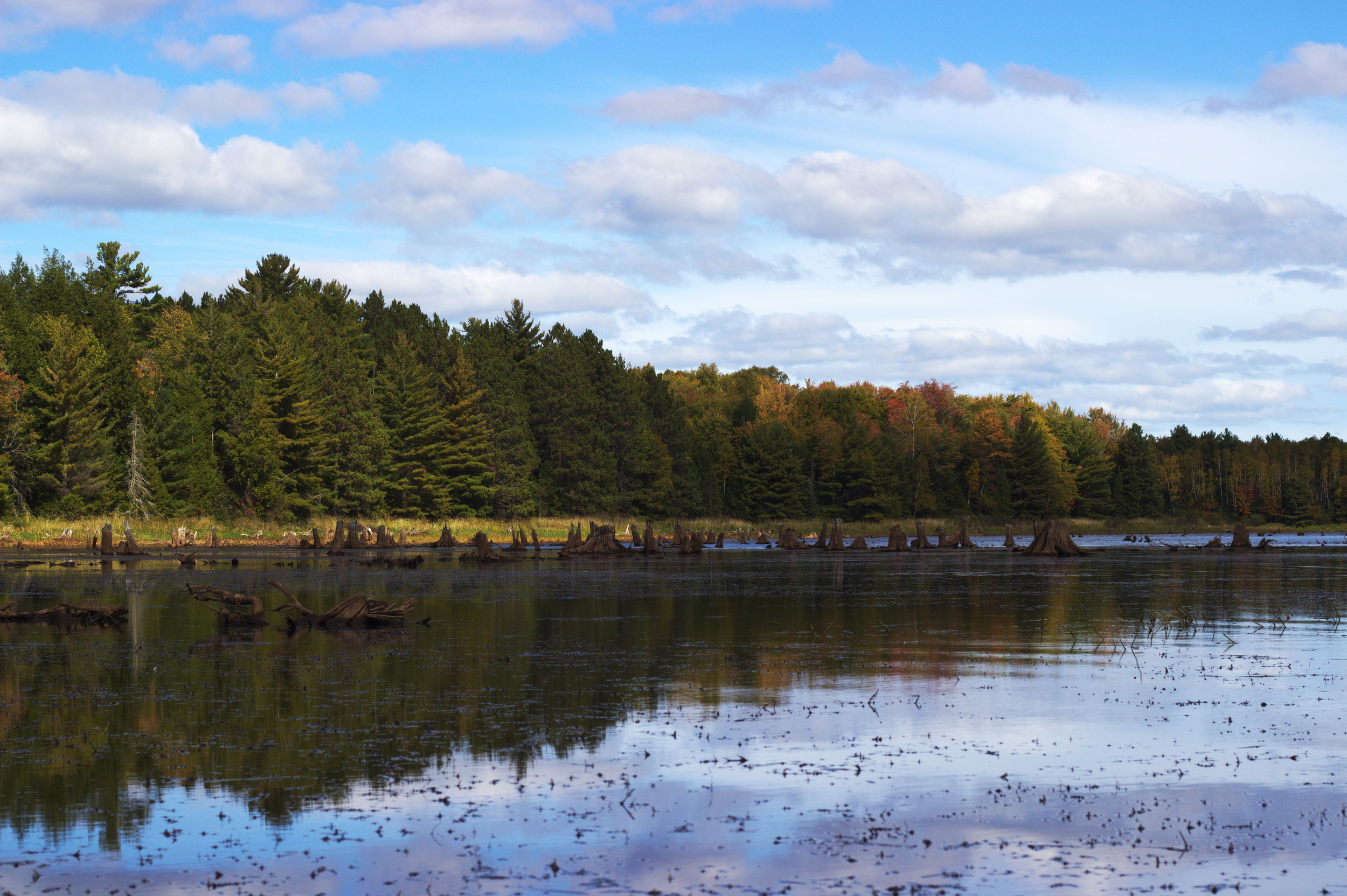 We made our way to the Turtle Flambeau Flowage and began the exploration.