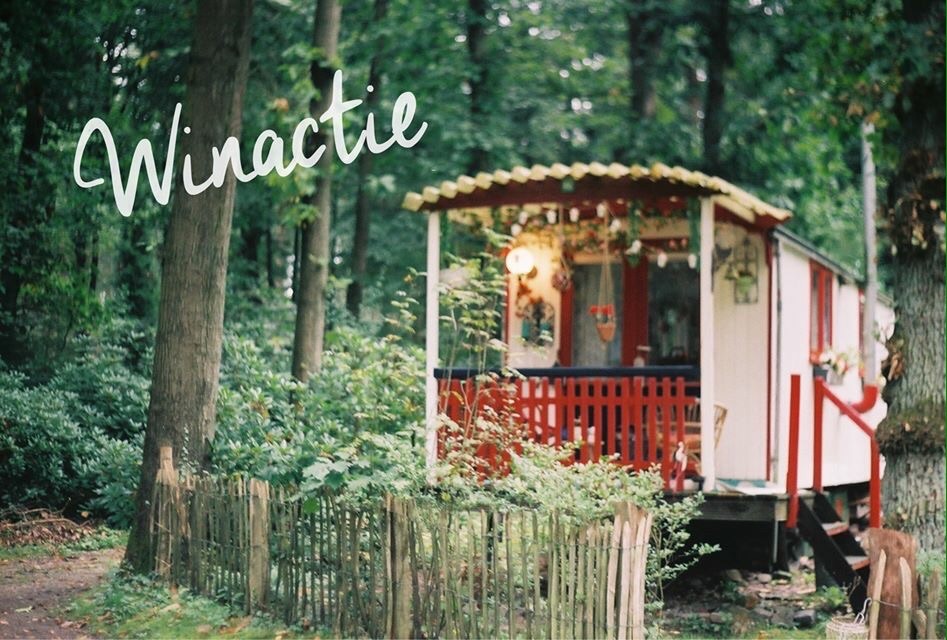 WINACTIE: Pipowagenovernachting voor 2 personen op de Veluwe