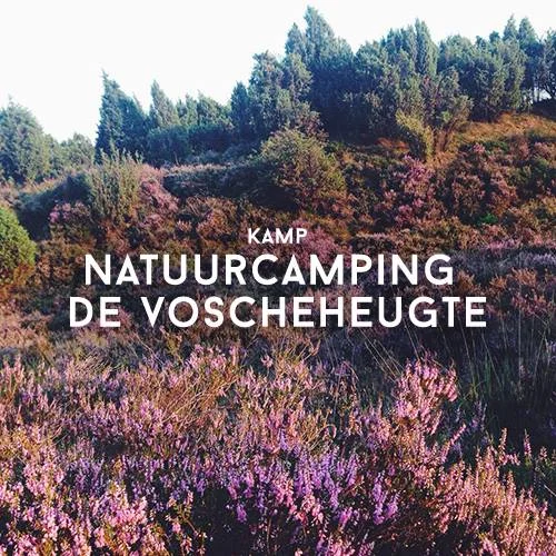 Kamperen in Nederland | Natuurcamping De Voscheheugte