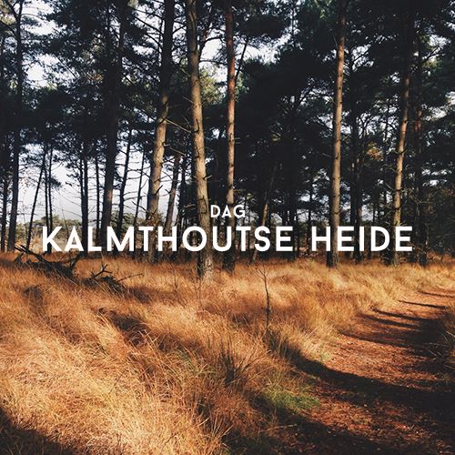 Ontdek de Kalmthoutse Heide (BE/NL)