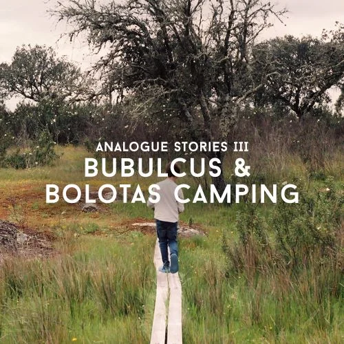 Analogue Stories III: Bubulcus &amp; Bolotas Camping