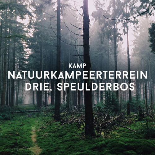 Kamperen bij Natuurkampeerterrein Drie in het Speulderbos