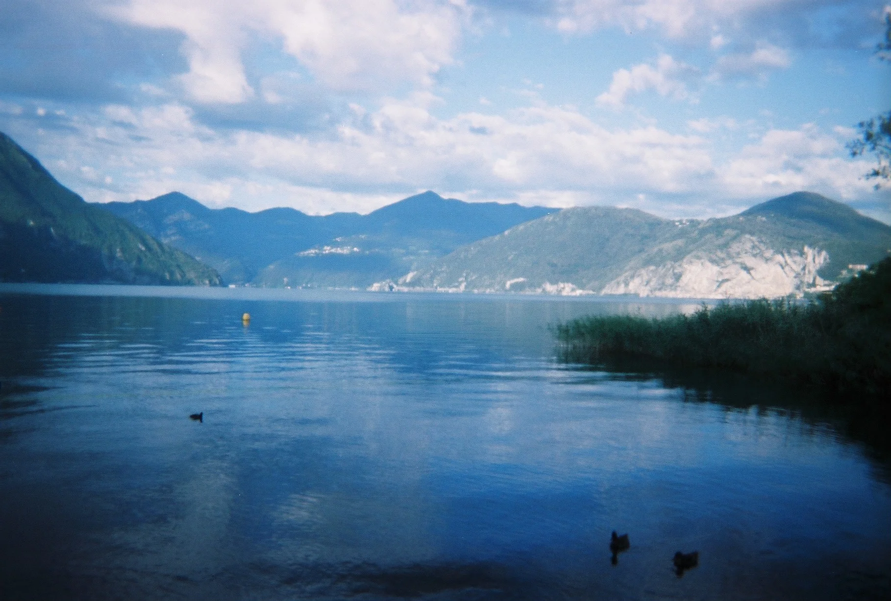 4785_05.JPG