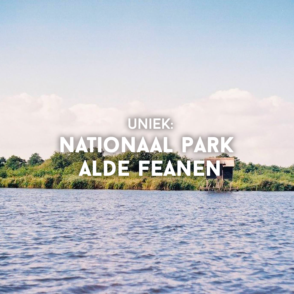 Nationaal Park de Alde Feanen in Friesland