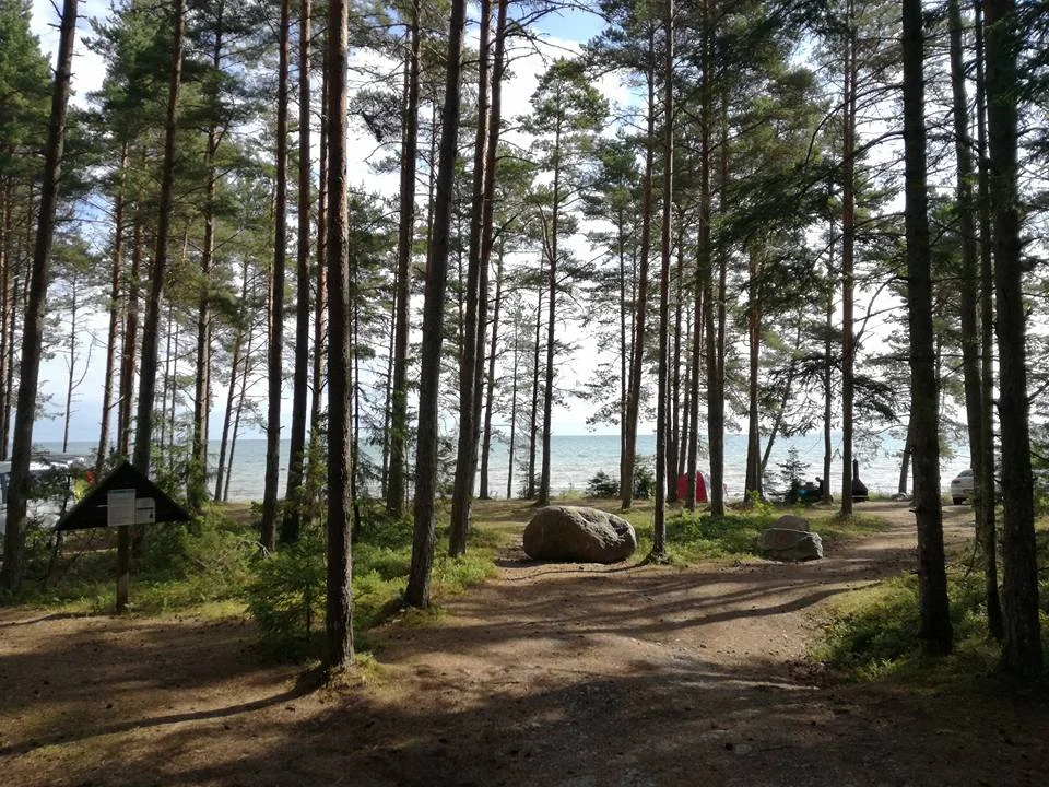 Natuurcamping bij Meiuste.jpg