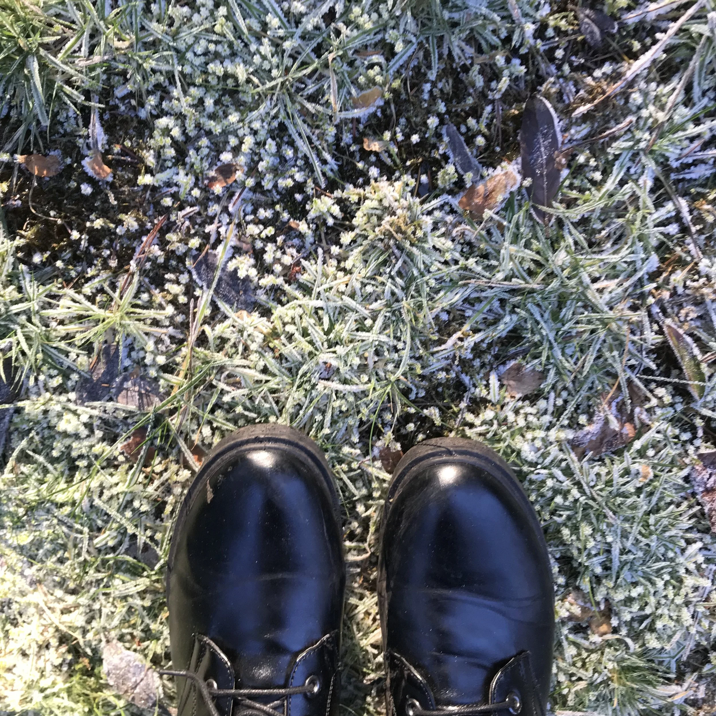 Winterkamperen in de vroege lente: deze kampeerterreinen zijn open