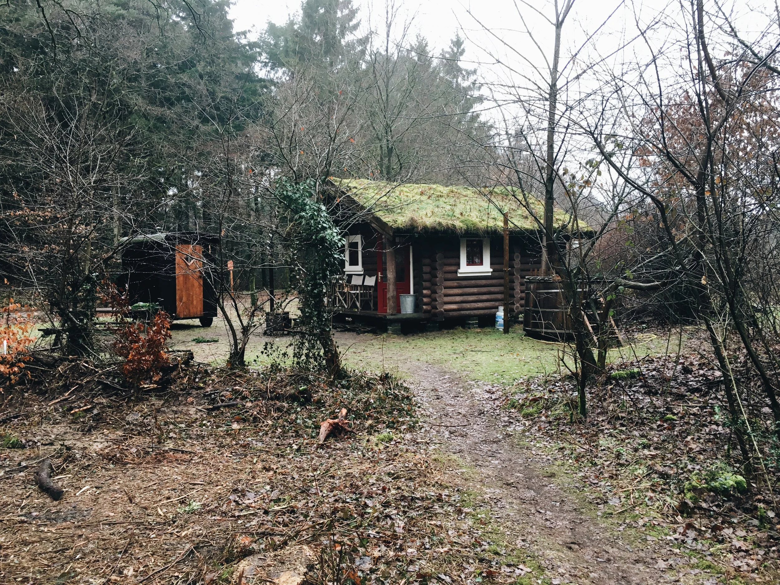 3x fijne boshuisjes in Overijssel om de herfst te vieren ☾