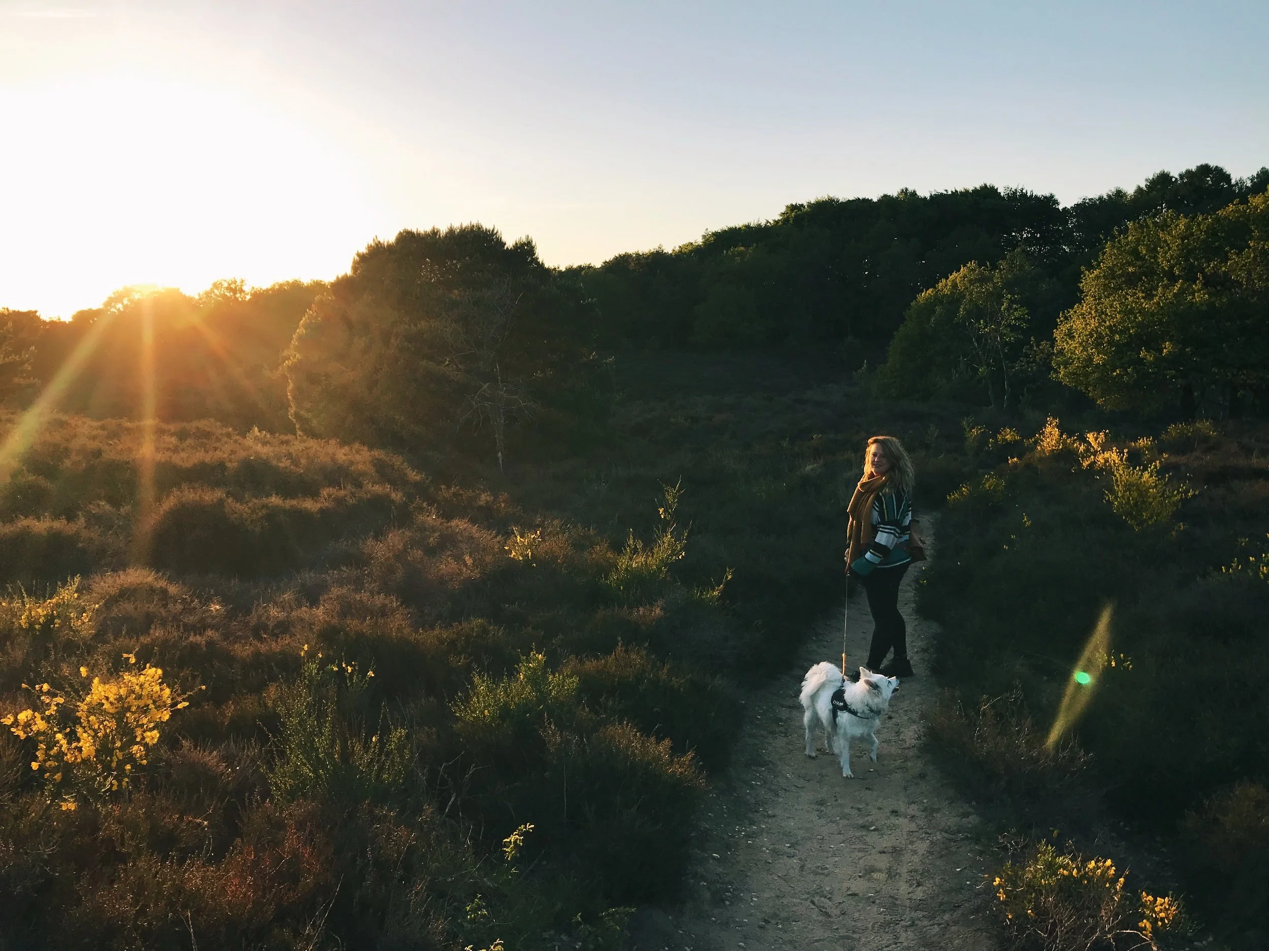 Bijzonder kamperen | 5x kamperen via Campspace