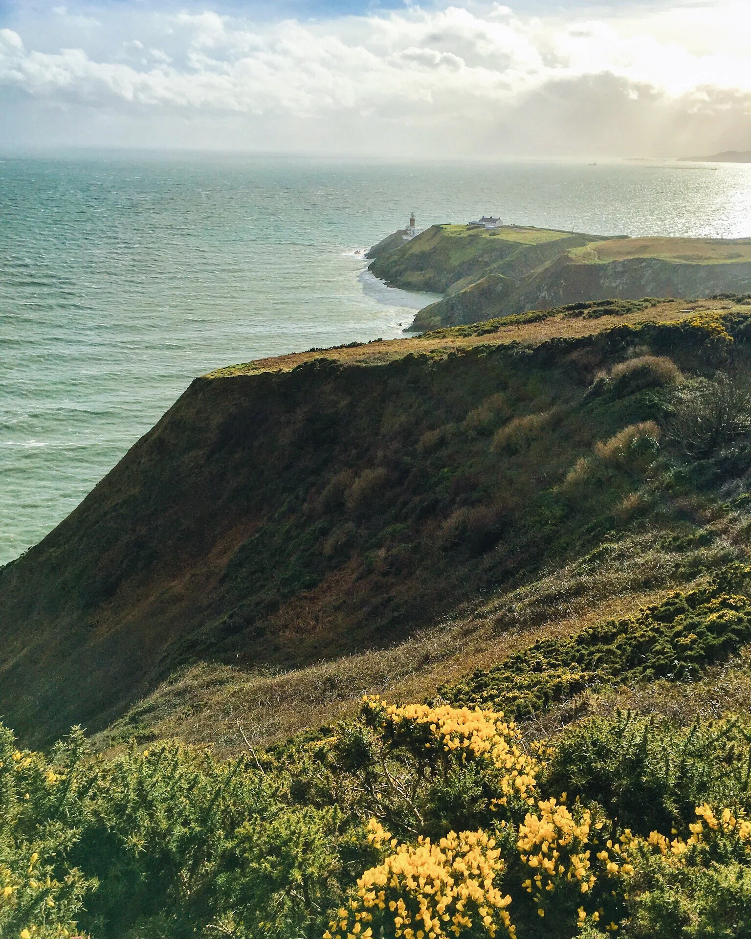 Howth+cliff+walk.jpeg