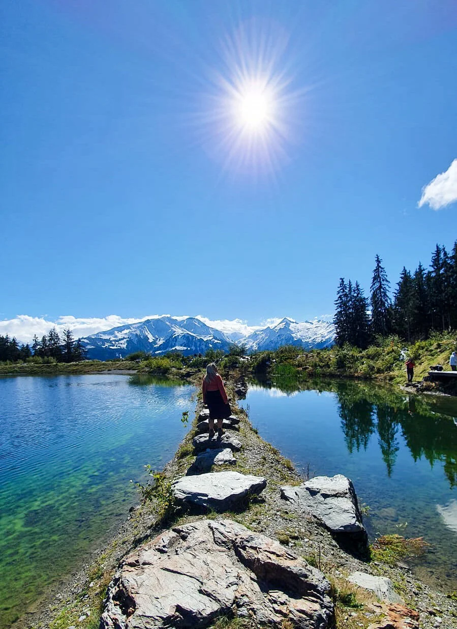 Terugblik op 2020 | Mijn jaar in reizen