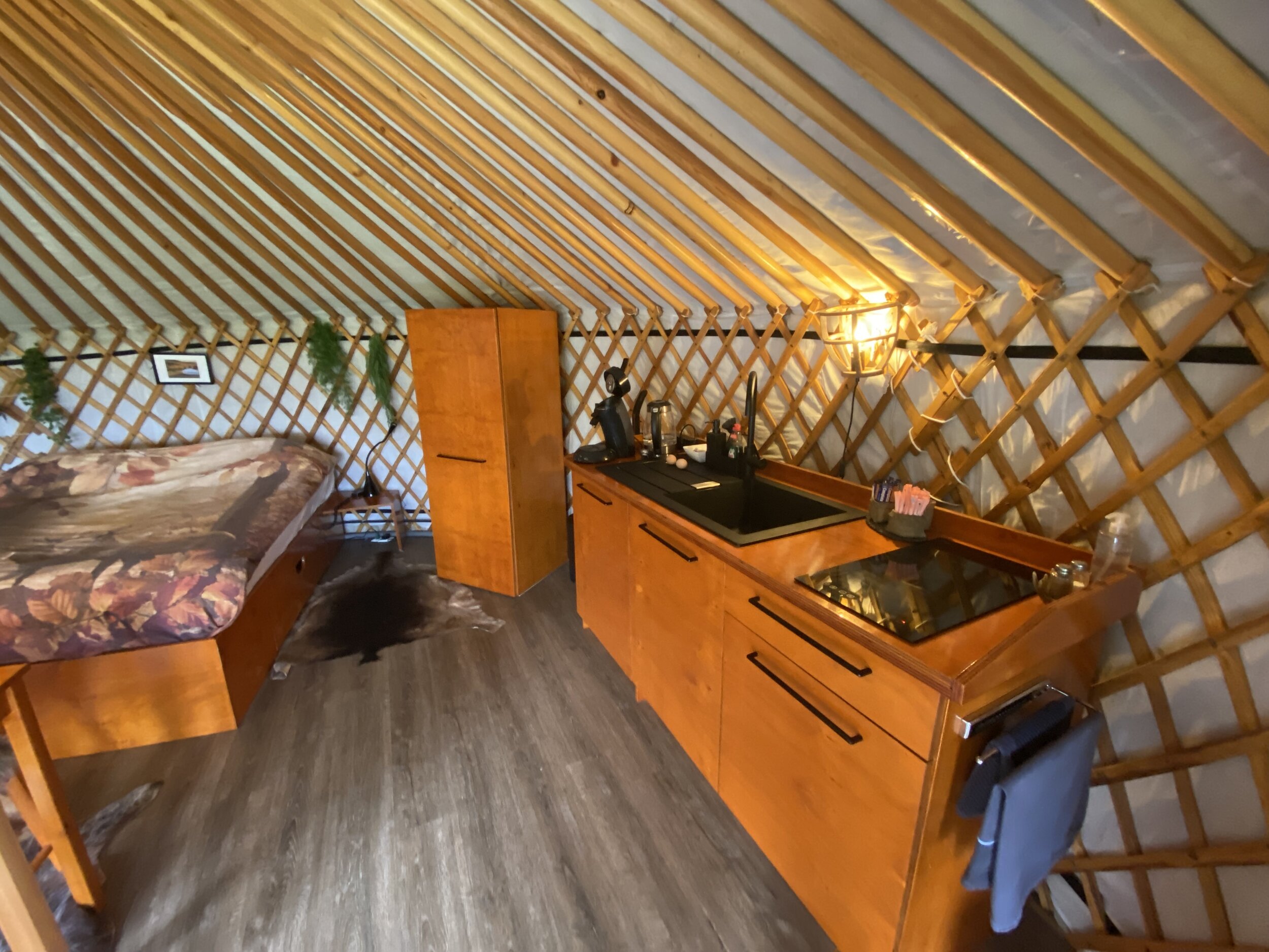slapen yurt nederland.jpg