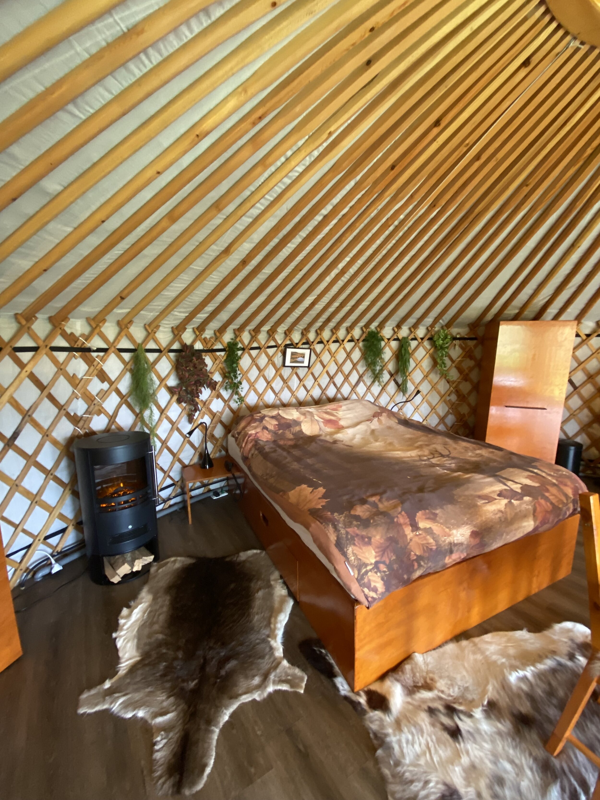 slapen in een yurt.jpg