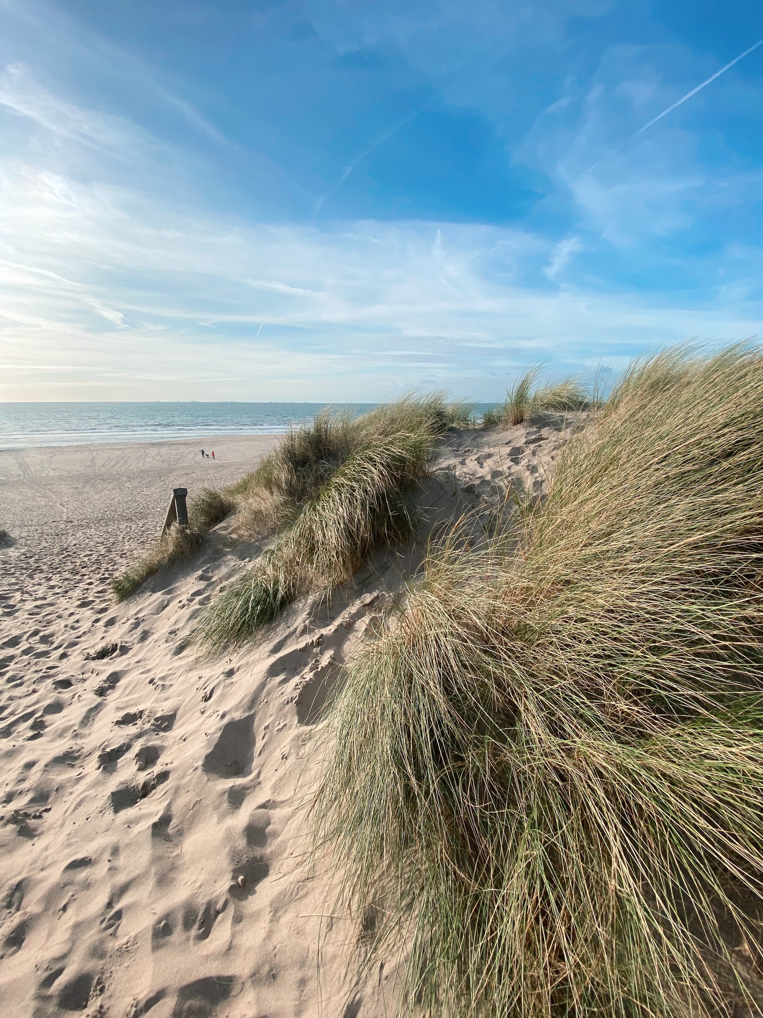 maasvlakte strand bezoeken.jpg