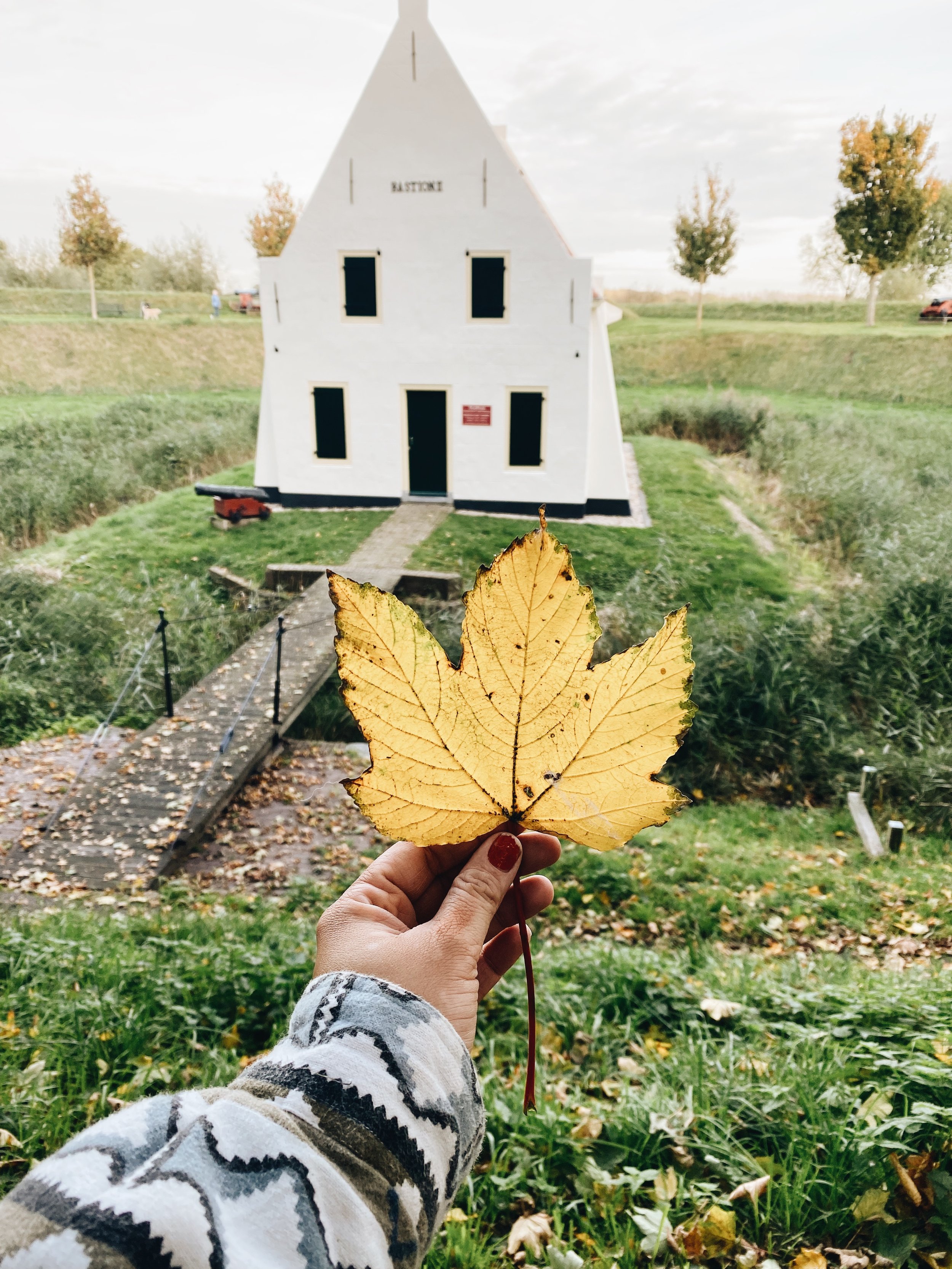 brielle in de herfst.jpg