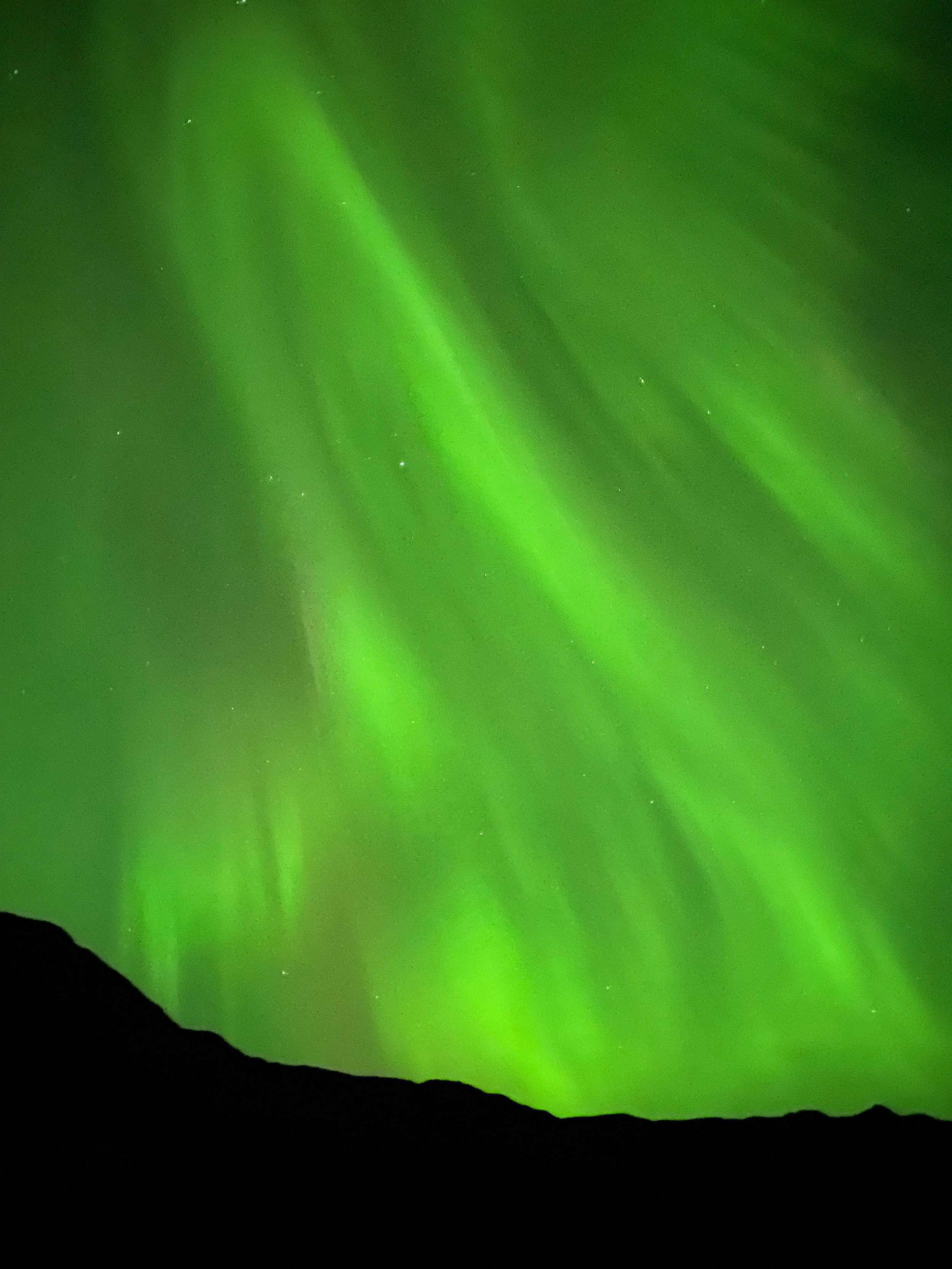 noorderlicht noorwegen zien.jpg