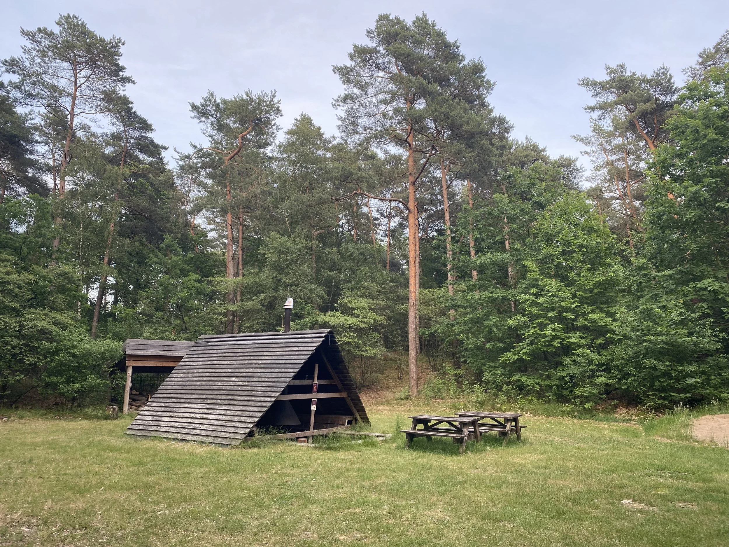 natuurkampeerterrein lheederzand.jpg