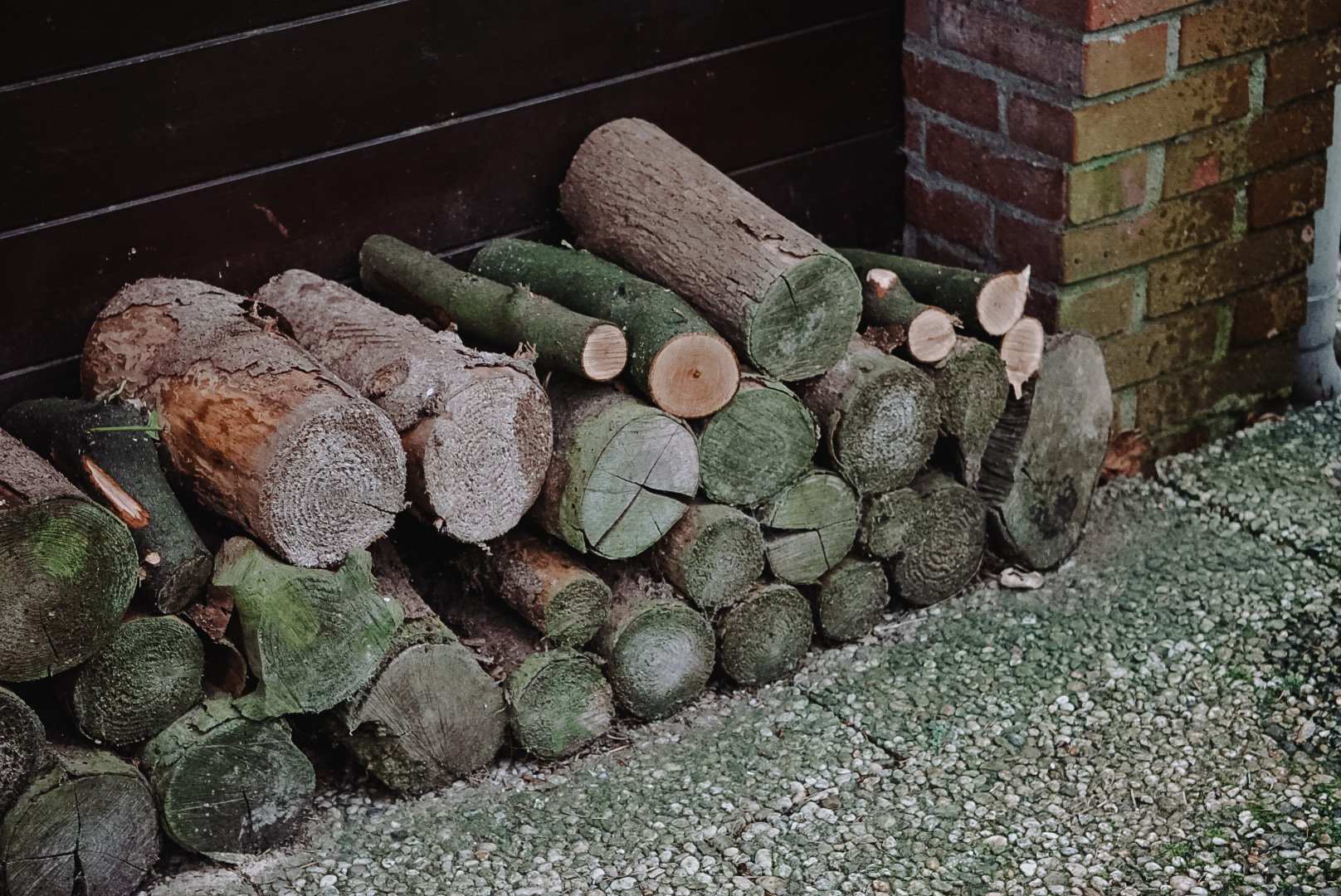 vuur maken vakantiehuis achterhoek.JPG