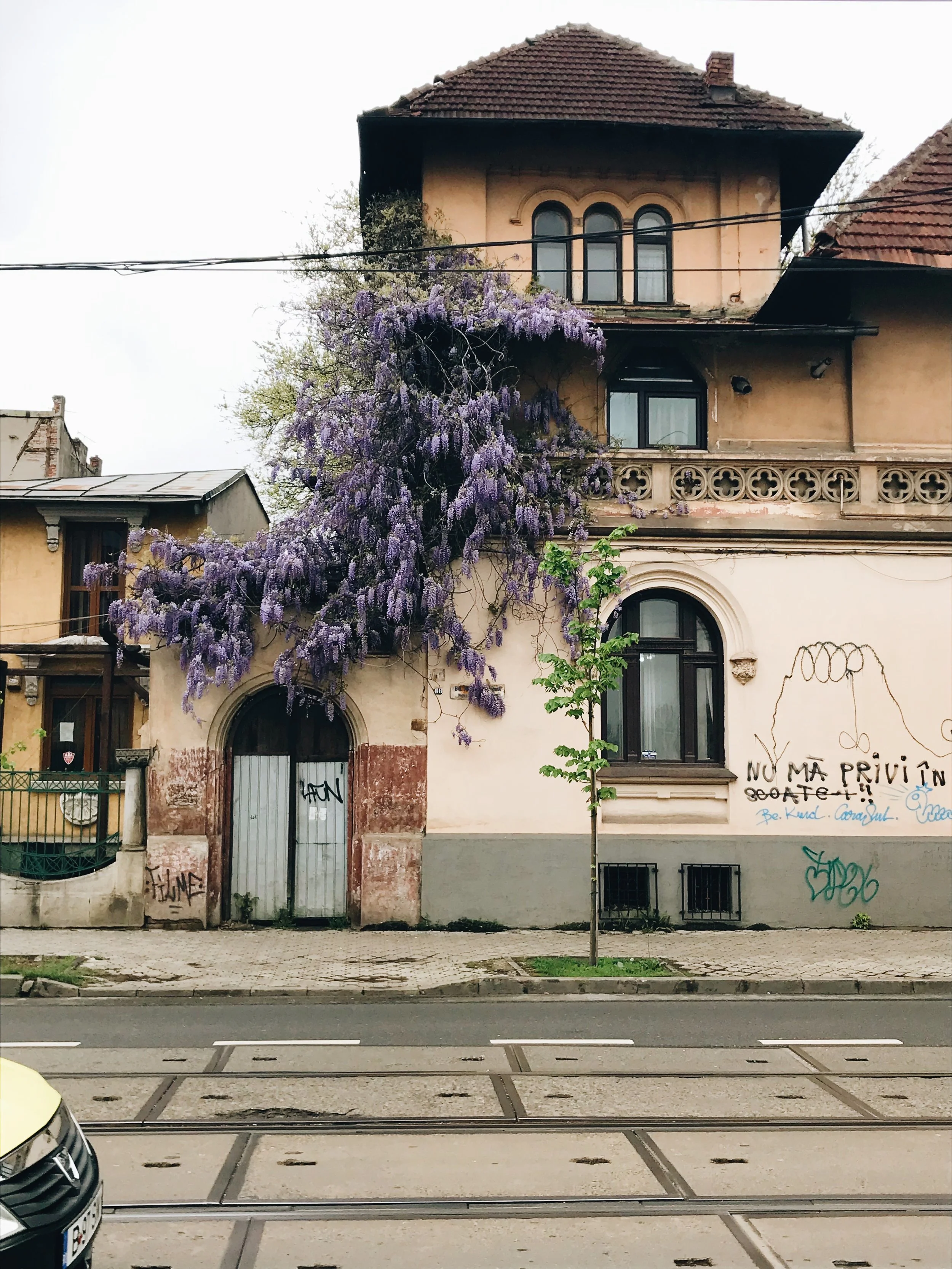  Processed with VSCO with a6 preset 