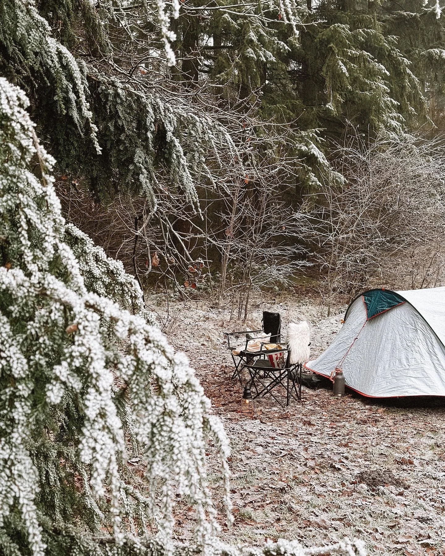 Kamperen in het buitenland? 5 zaken waar je aan moet denken