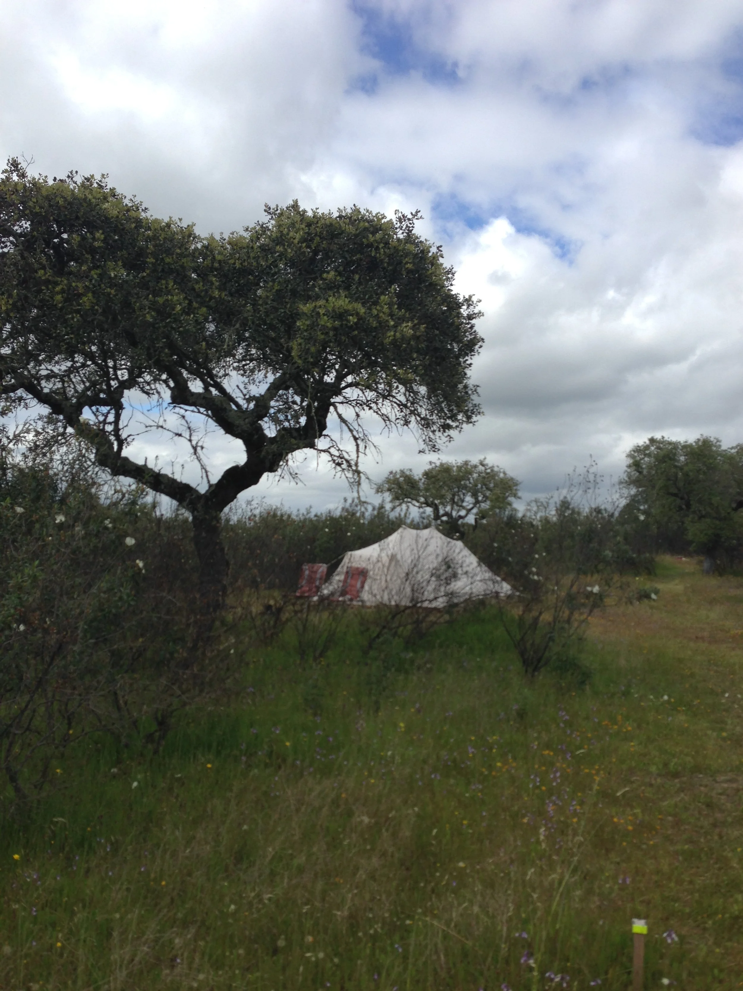 Ontdek de natuur van Portugal | Dit mag je niet missen