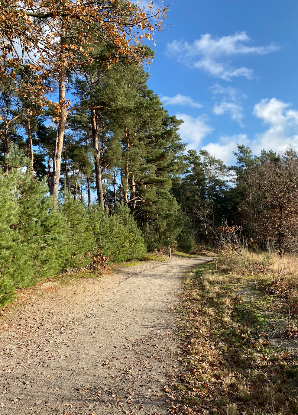 wandelen heuvelland.png