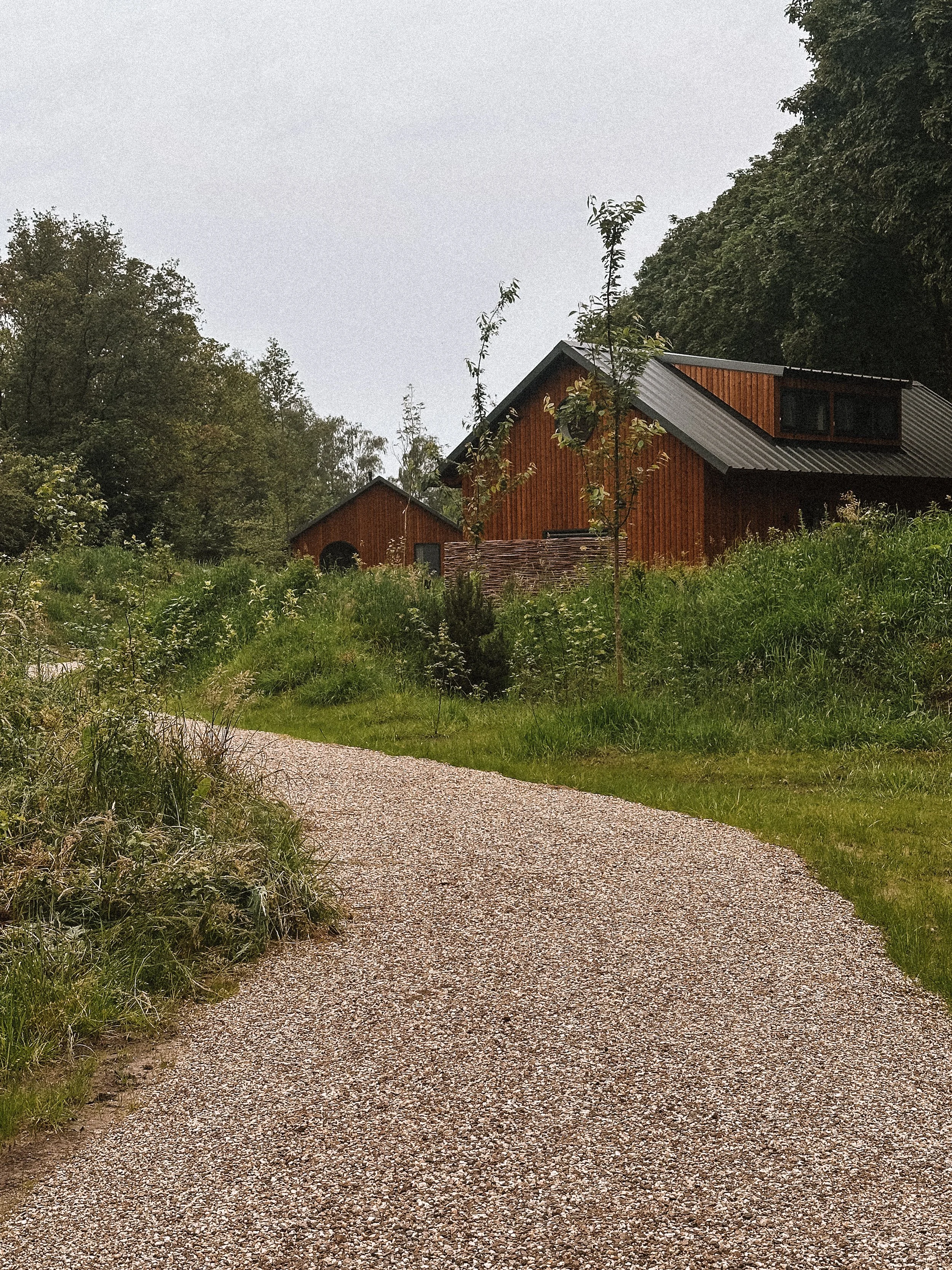 the forest van tiny hotel.JPG